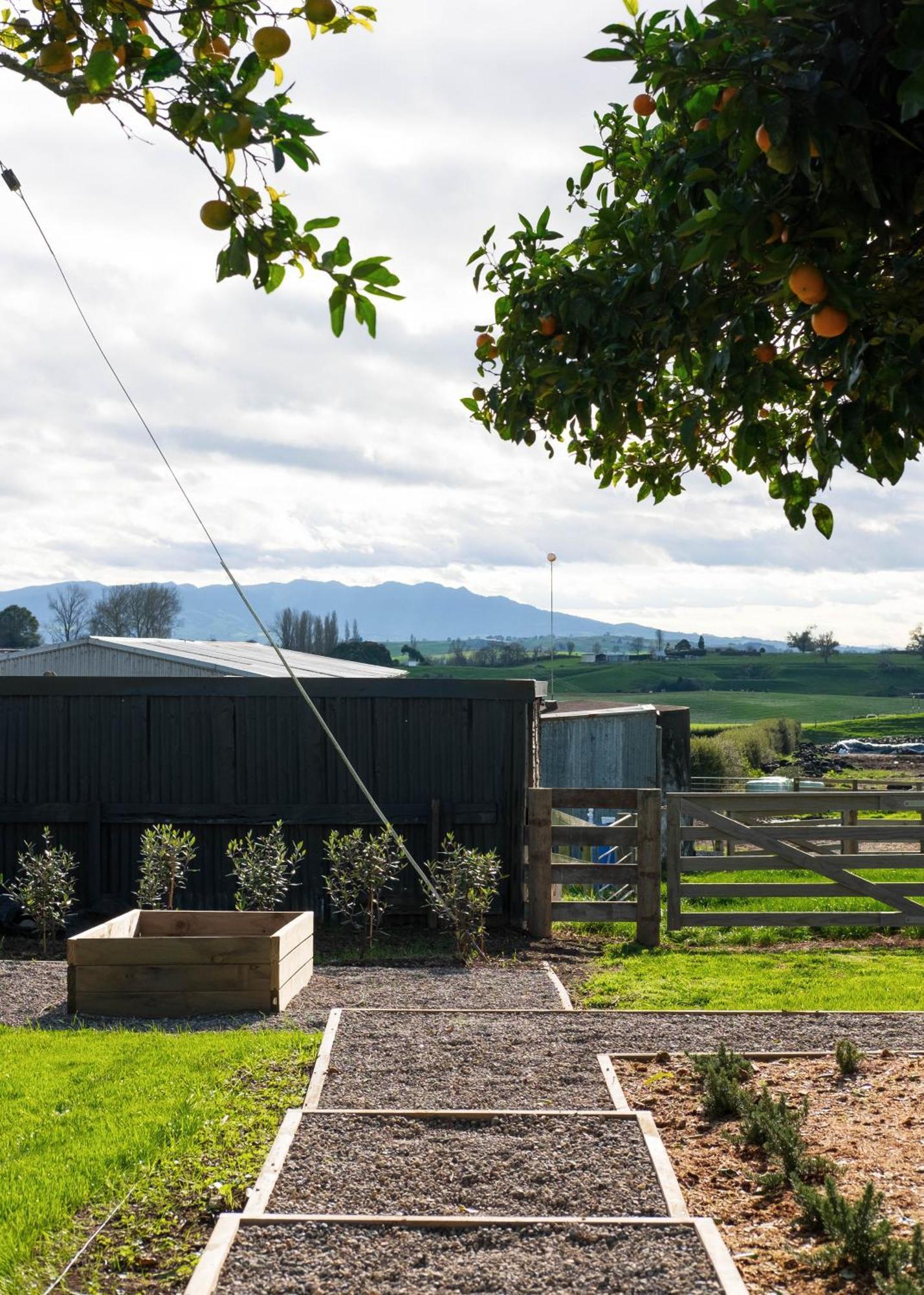 Willow View Cottage - Beautiful Farm Views Close To Waitomo Otorohanga Eksteriør billede